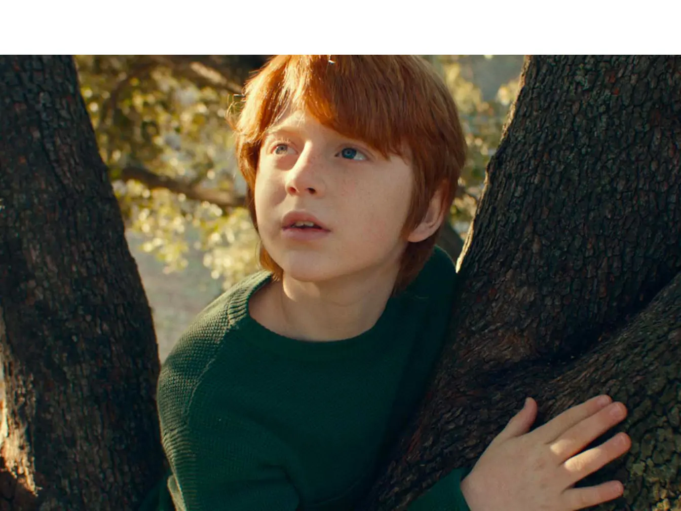 Enfant dans un arbre