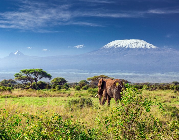 Kilimanjaro