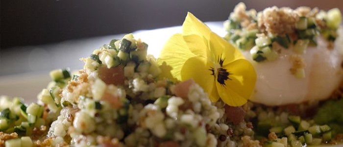 Plat gastronomique