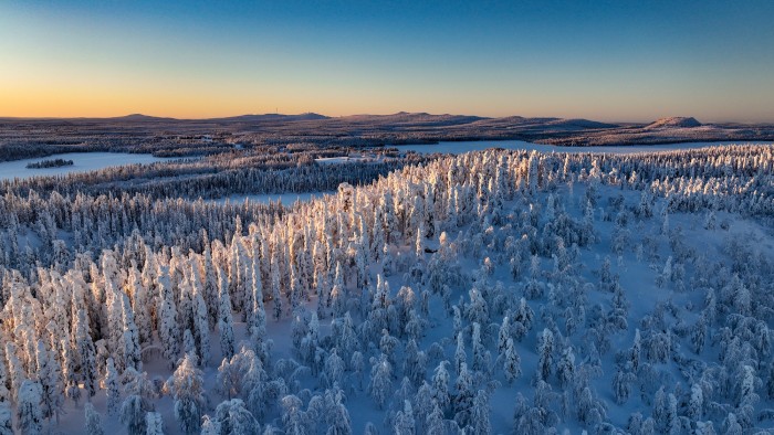 Photo paysage de forêt enneigé