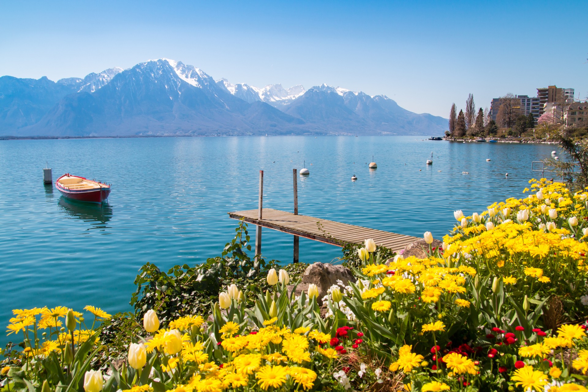 Paysage Suisse