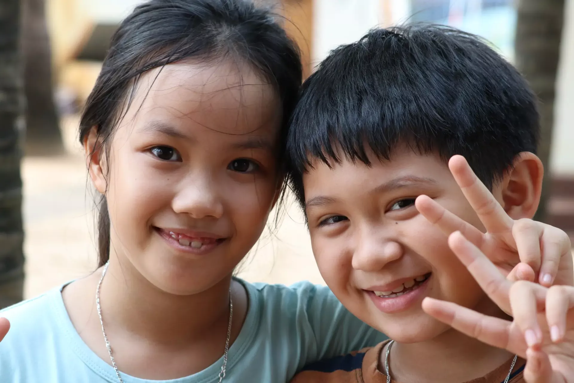 Les projets de la fondation