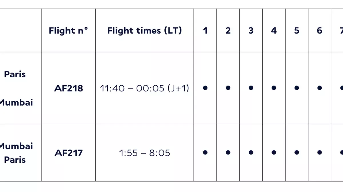 a table that shows the plans and daily flight to Mumbai