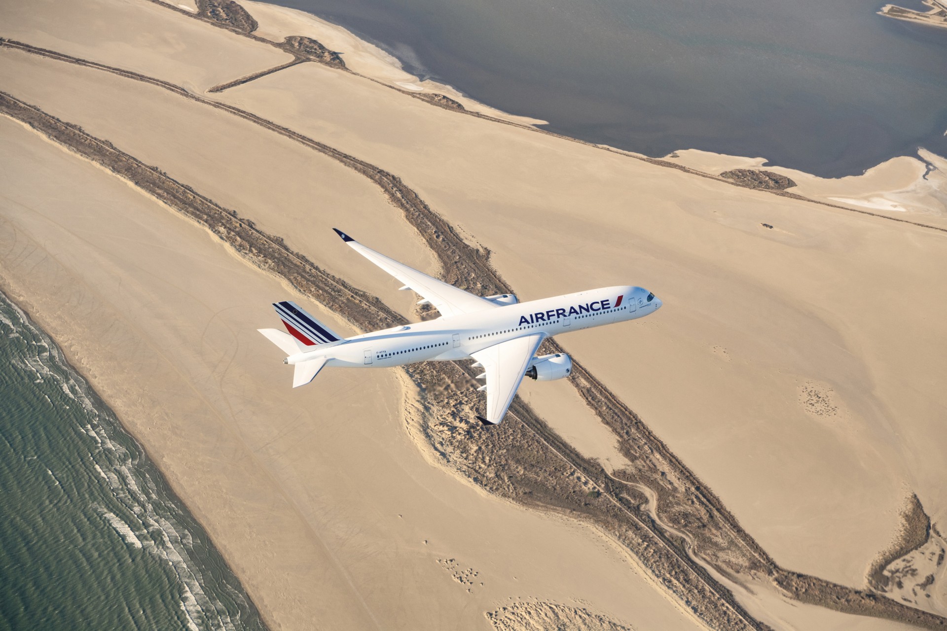 Avion en vol
