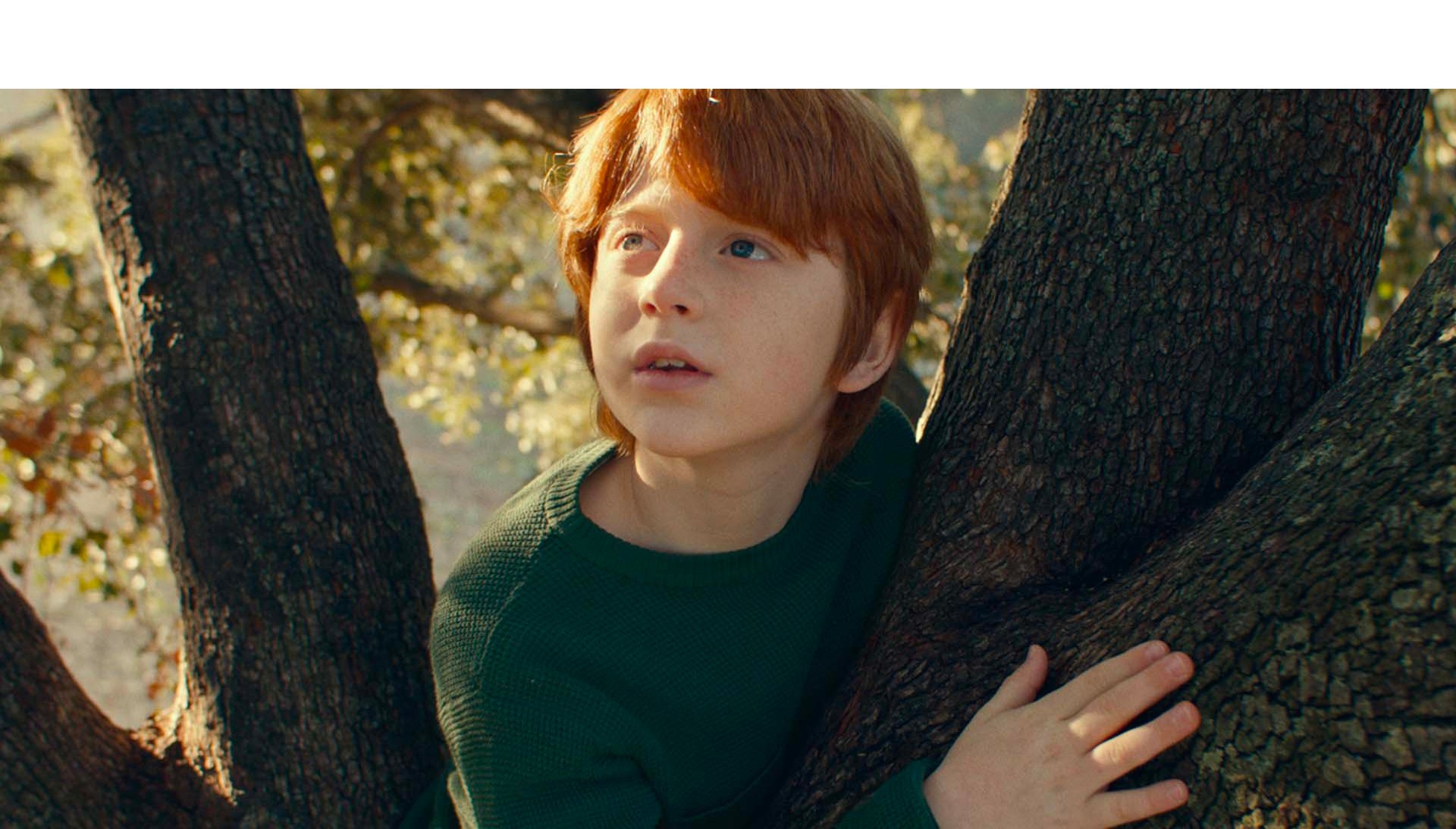 Enfant dans un arbre