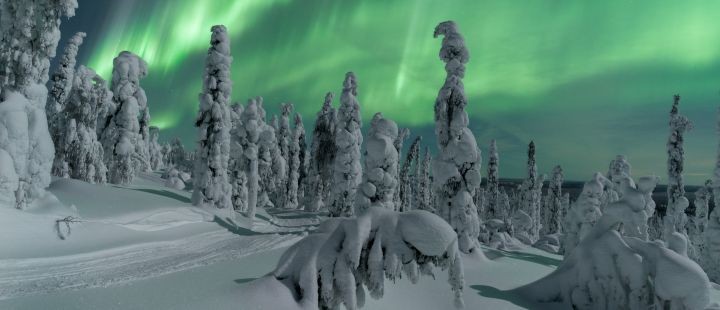 neige.aurora